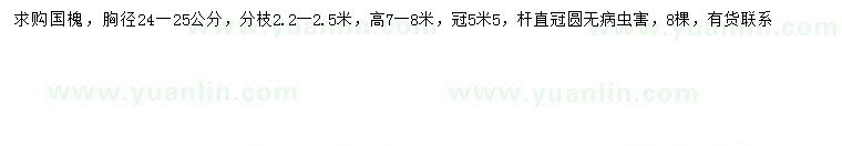 求購胸徑24-25公分國槐