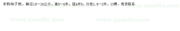 求購胸徑18-20公分柿子樹