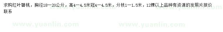 求購(gòu)胸徑18-20公分紅葉碧桃