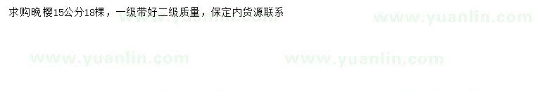 求購15公分晚櫻