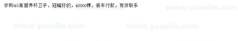 求購高40公分衛(wèi)矛