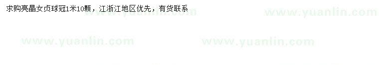 求購冠幅1米亮晶女貞球