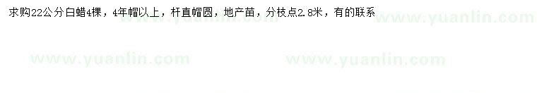 求購22公分白蠟
