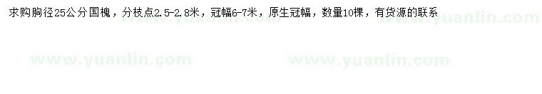 求購胸徑25公分國槐