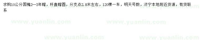 求購10公分國槐