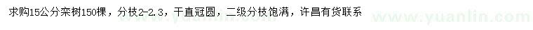 求購15公分欒樹