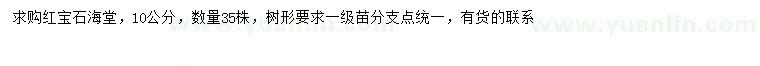 求購10公分紅寶石海堂