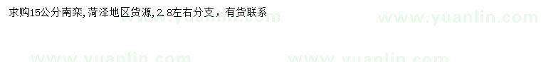 求購15公分南欒