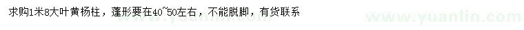 求購1.8米大葉黃楊