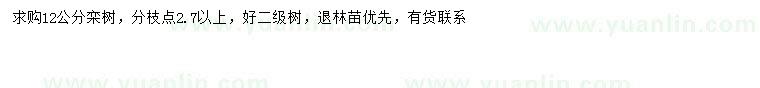 求購(gòu)12公分欒樹