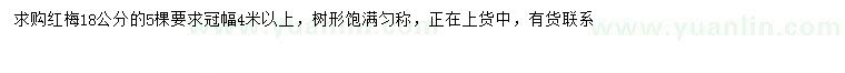 求購18公分紅梅
