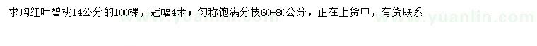 求購(gòu)14公分紅葉碧桃
