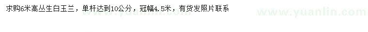 求購(gòu)冠幅4.5米叢生白玉蘭