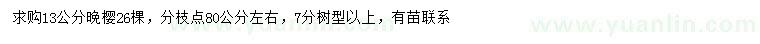 求購(gòu)13公分晚櫻