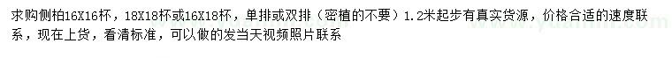 求購(gòu)1.2米以上側(cè)柏