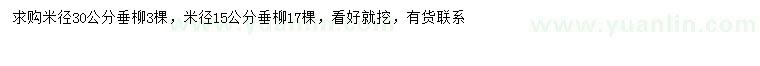 求購米徑15、30公分垂柳