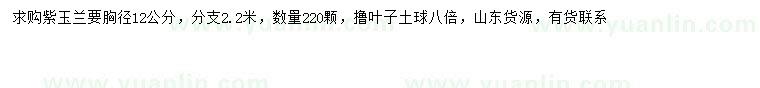 求購胸徑12公分紫玉蘭