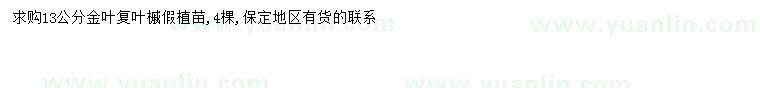 求購13公分金葉復(fù)葉槭
