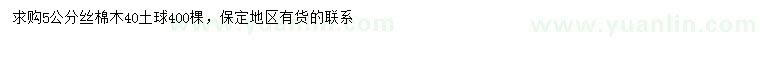 求購5公分絲棉木