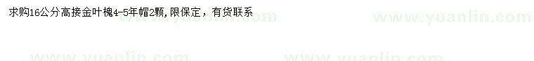 求購16公分高接金葉槐