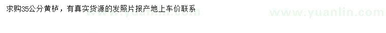 求購(gòu)35公分黃櫨