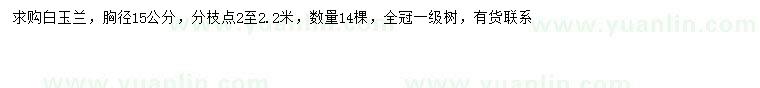 求購胸徑15公分白玉蘭