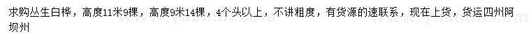 求購(gòu)高9、11公分叢生白樺