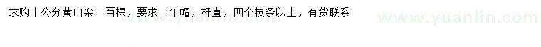 求購10公分黃山欒