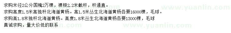求購(gòu)國(guó)槐、北海道黃楊、叢生北海道黃楊