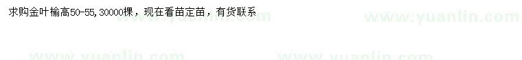 求購高50-55公分金葉榆