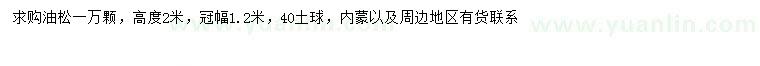 求購高2米油松