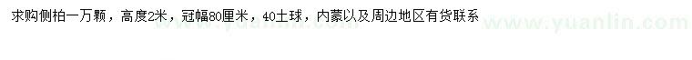 求購高2米側柏