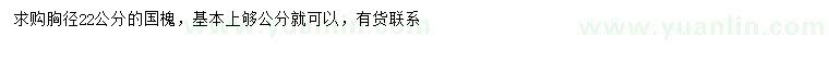 求購(gòu)胸徑22公分國(guó)槐