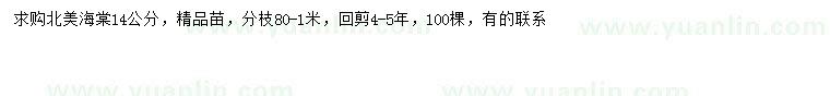 求購14公分北美海棠