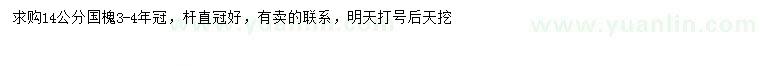 求購14公分國槐