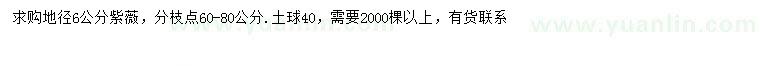 求購(gòu)地徑6公分紫薇