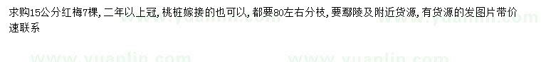求購(gòu)15公分紅梅