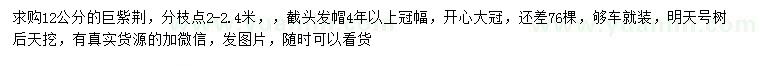 求購12公分巨紫荊