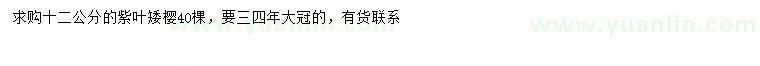 求購(gòu)12公分紫葉矮櫻