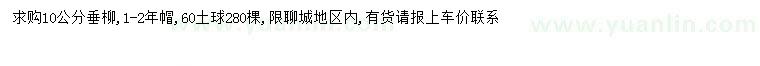 求購10公分垂柳