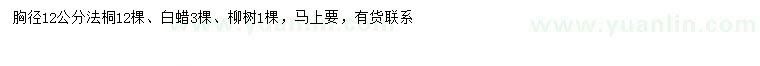 求購法桐、白蠟、柳樹