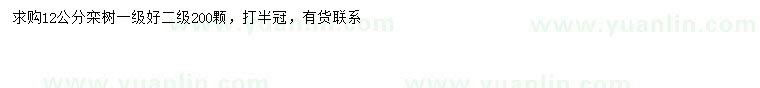求購12公分欒樹