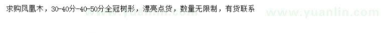 求購30-40、40-50公分鳳凰木
