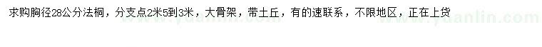 求購胸徑28公分法桐