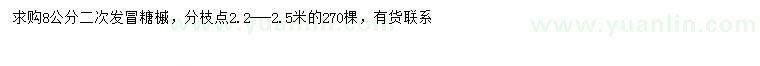 求購8公分糖槭