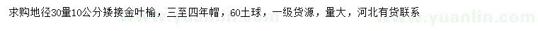 求購30量10公分金葉榆