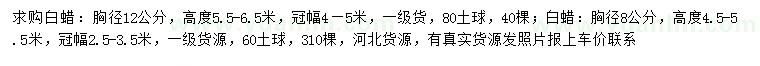 求購胸徑8、12公分白蠟