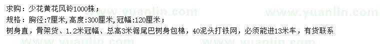 求購胸徑7公分少花黃花風(fēng)鈴
