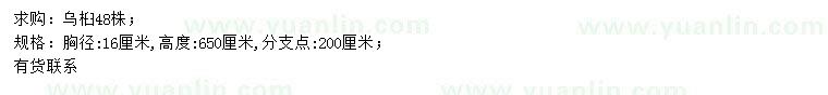求購(gòu)胸徑16公分烏桕