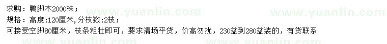 求購(gòu)高120公分鴨腳木